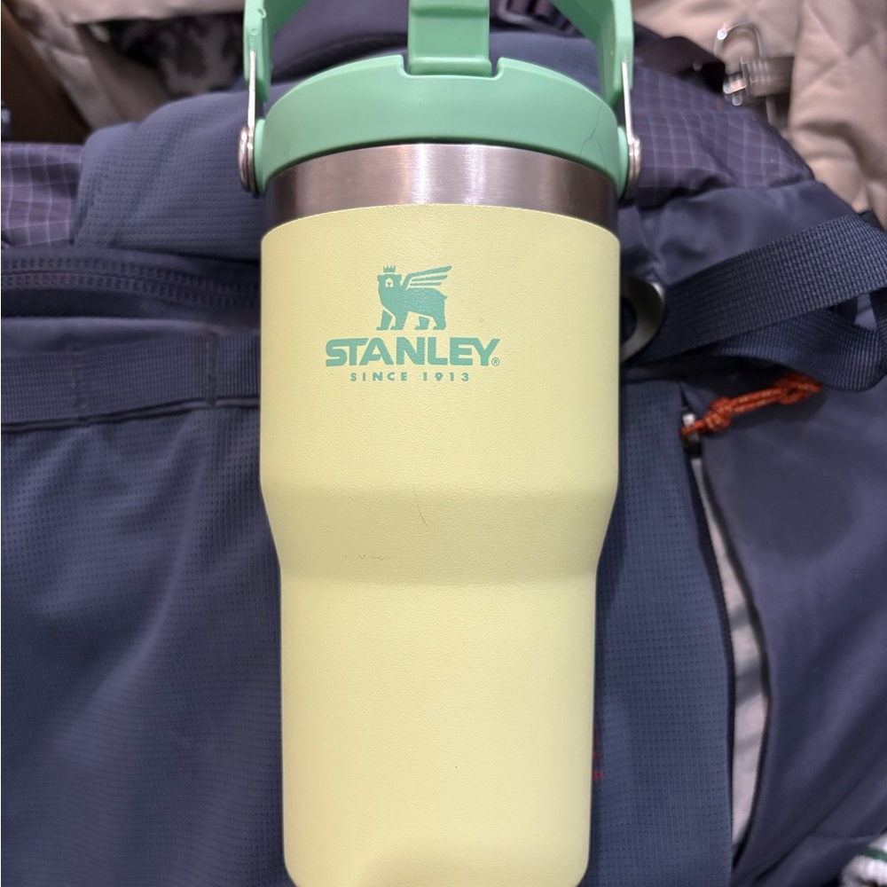 Stanley 20 OZ Tumbler in Mint Green